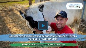 Фермерское хозяйство реабилитационного центра успешно развивается!