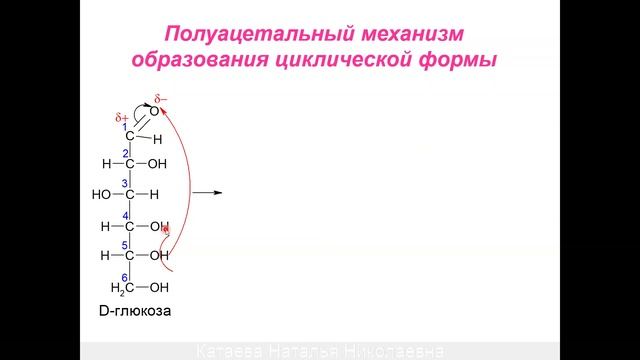 ЛЕКЦИЯ 5. МОНОСАХАРИДЫ смотреть онлайн