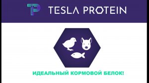Видео презентация ТеслаПротеин - ферментированная соя