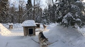 Зимние экскурсии