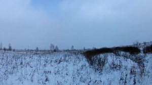 охота на зайца по первому снегу