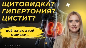 Что такое почечный токсикоз. Почему болят суставы, щитовидка, миома, цистит. Как очистить почки