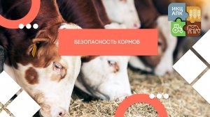 Запись семинара от 19 ноября 2025 года