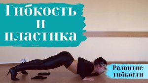 Развитие ПЛАСТИЧНОСТИ тела/ПЕРЕЗАЛИВ