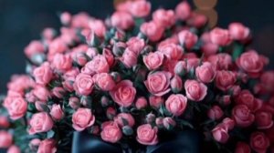 С Днем Рождения племянница! Шикарное поздравление С Днем Рождения для любимой племянницы!