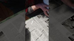 Садим с бабушкой перец чили.