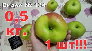Очень БОЛЬШИЕ яблоки, ПОЛ КИЛОГРАММА!!!