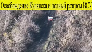 Сводка СВО на 21 ноября. Освобождение Купянска и полный разгром ВСУ: успехи ВС РФ к утру 21 ноября