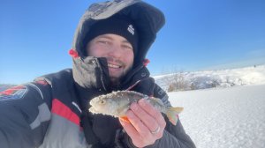 Ловля окуня по первому льду.  Исследую водоем который все игнорируют.