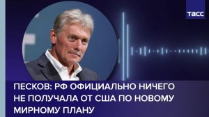 Песков: РФ официально ничего не получала от США по новому мирному плану