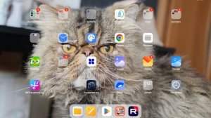 ребят простите но я заболела поэтому видео будут выходить реже а может и вообще не будет видео