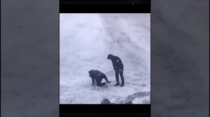 Приколы😂🤣