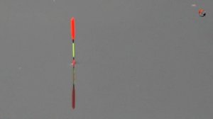 Ловля Карася на Поплавок с длинной антенной по холодной воде на работе подпаска