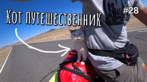 28. Неожиданный попутчик!🐈 Скалистая пустыня. Ховд