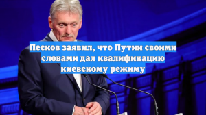 Песков заявил, что Путин своими словами дал квалификацию киевскому режиму