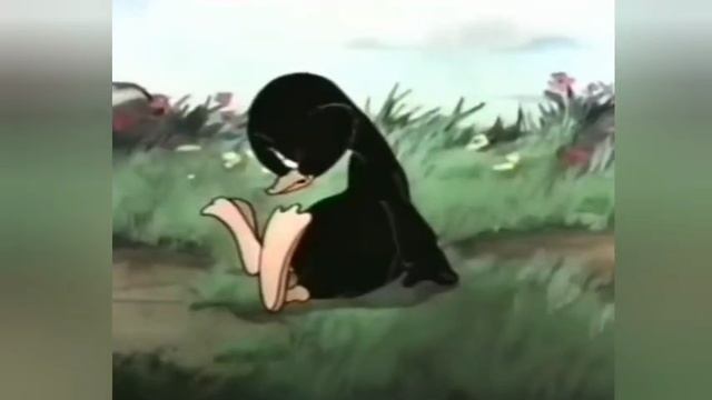 Красивая Турецкая песня смотреть онлайн