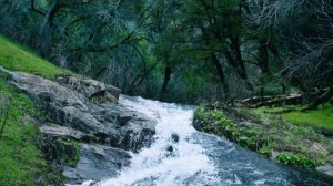 Журчит ручёк (1)