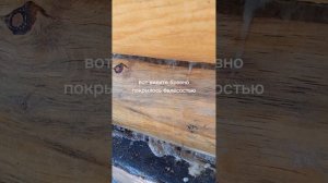 Как отчистить древесину от черноты и плесени?