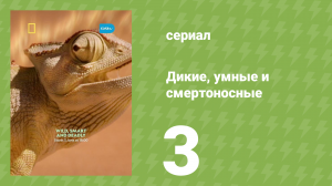 Дикие, умные и смертоносные 1 сезон 3 серия (документальный сериал, 2024)