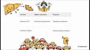 Куркумин в лечении заболеваний почек: систем. обзор с акцентом на лекарственные взаимодействия