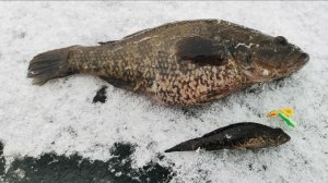 Ловлю ротанов. Зимняя рыбалка.