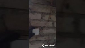 Сарайчик для хранение зерна готов!