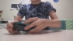 обзор на диких скричеров