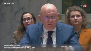 Небензя назвал киевский режим "вороватой коррумпированной шайкой"