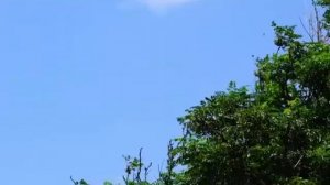 КОМЕДИЯ РОК  Мне рассказывает - Ветер!..