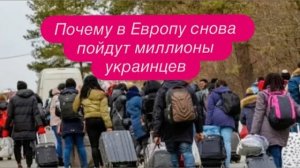 Сенсация! Германия принимает украинцев как противостояние русскоязычным немцам. #беженцыизукраины