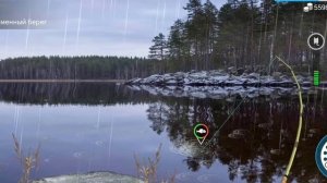 Как поймать сазан в игре My Fishing World