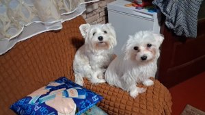 К зимовке готовы!!!