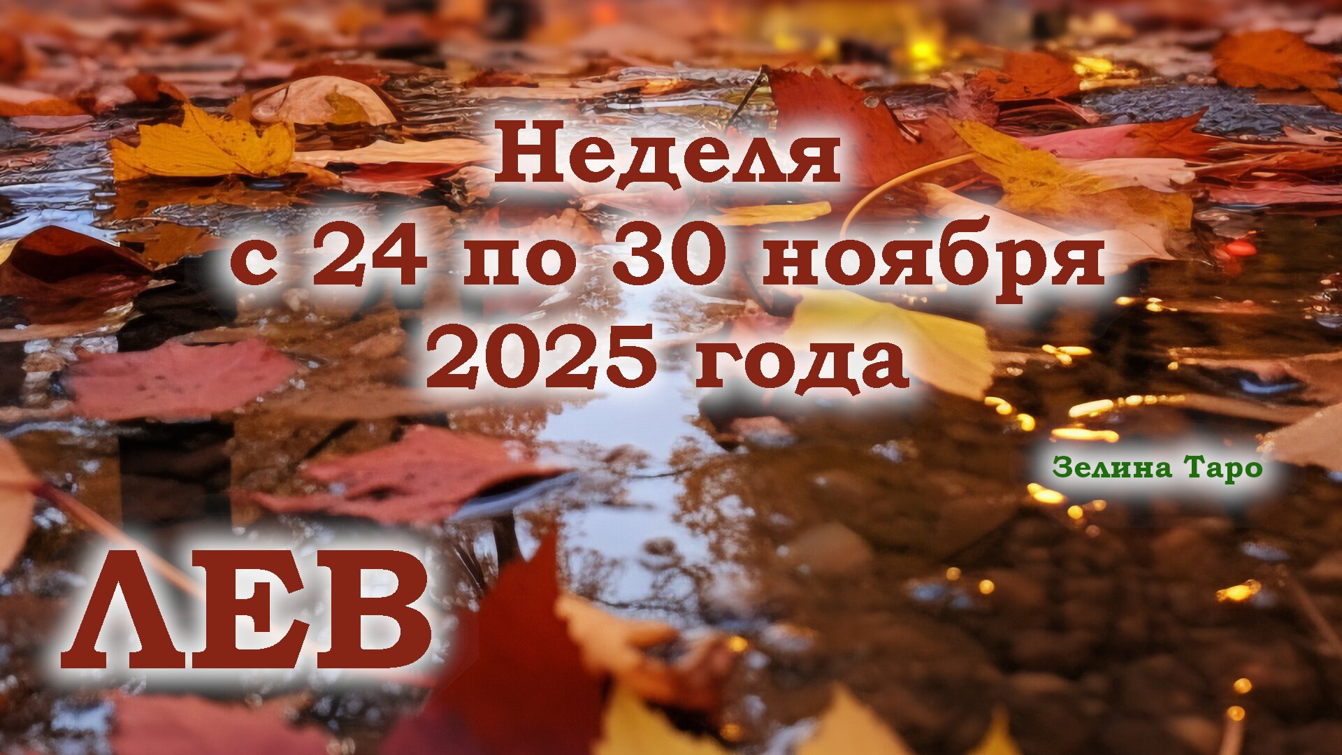 ЛЕВ | ТАРО прогноз на неделю с 24 по 30 ноября 2025 года