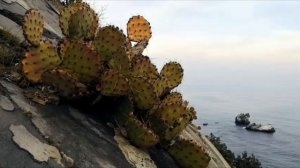 Морская даль.  Музыка Сергея Чекалина. Sea distance. Music by Sergey Chekalin. @music_for_the_soul