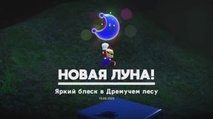 Яркий блеск в Дремучем лесу