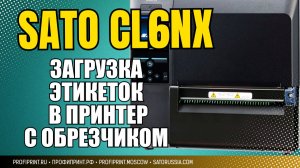 SATO CL6NX: УСТАНОВКА РУЛОНА ЭТИКЕТОК ДЛЯ РАБОТЫ С ОБРЕЗЧИКОМ (4)