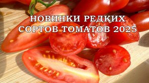 НОВИНКИ РЕДКИХ СОРТОВ ТОМАТОВ 2025.