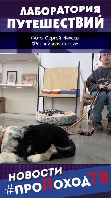 В музей с другом: музеи Москвы открывают зоны для домашних животных