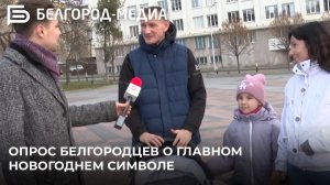 Опрос белгородцев о главном новогоднем символе