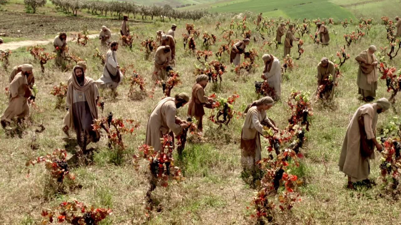 Притча о работниках в винограднике / Притча о винограднике и работниках / Работники в винограднике смотреть онлайн