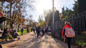 Ноябрь Солнце  шпарит  .....  ---   21 11 2025  И    JEFF  BECK !!!!!