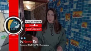 На стене растут опята: инвалид не рад