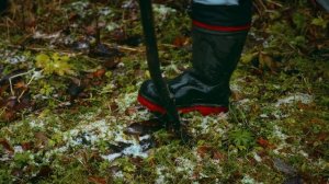 Просто хороший день