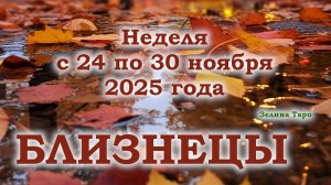 БЛИЗНЕЦЫ | ТАРО прогноз на неделю с 24 по 30 ноября 2025 года