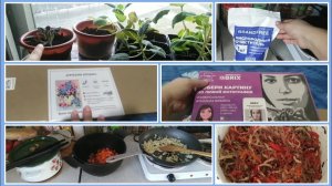 6-2023 Уборка, Готовка, Brandfree, Алмазка, Qbrix __ Elena Pero