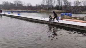 21.11.25. Зарыбление VIP зоны форелью.