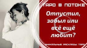 Отпустил? Забыл или всё ещё любит?