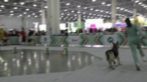 Фиелисс Ойра