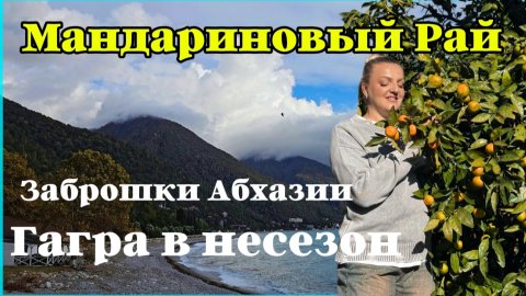 Абхазия в несезон. Гуляем по Гагре. Пробуем плоды пальмы. Абхазия 2025