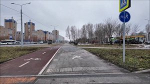 Навожу порядок в фотографиях // Нахлынули воспоминания // Сею помидоры